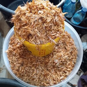 Paint Bucket of Crayfish